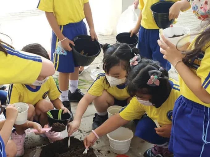 Dokumentasi sekolah: Tangan kecil yang belajar menanam