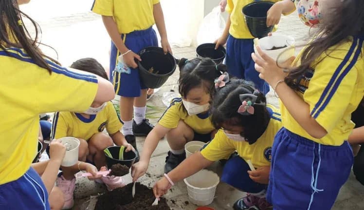 Dokumentasi sekolah: Tangan kecil yang belajar menanam